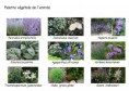 /album/des-idees-/palette-vegetale-jpg/